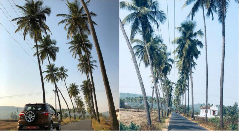goa parra village 2