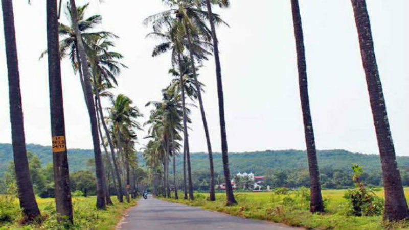 goa parra village 3