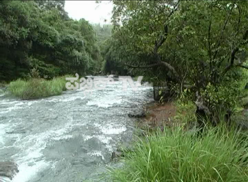mahadayi