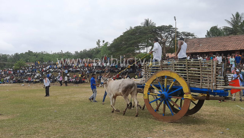 mdk bandi ota 2