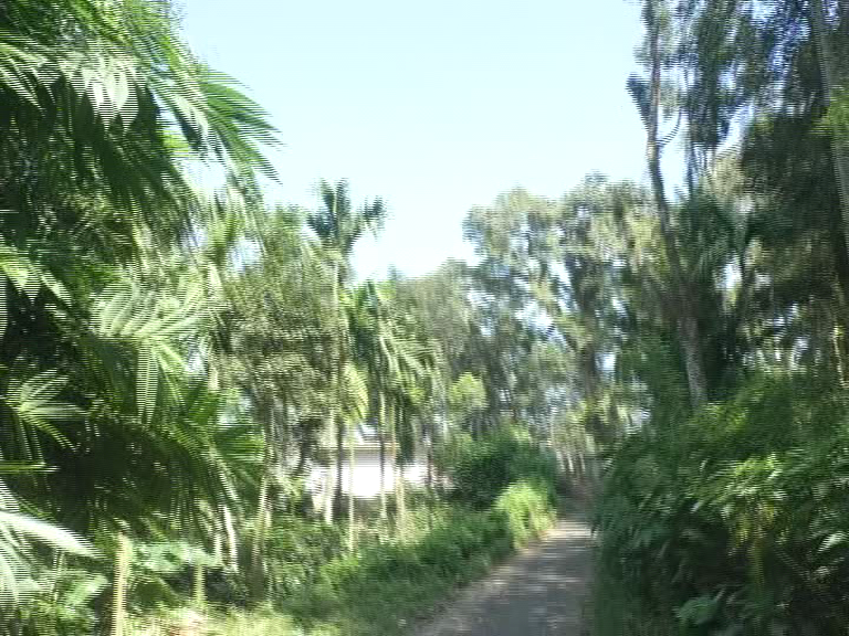 mdk vichitra sound 4
