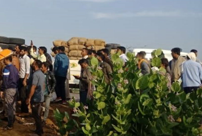rajasthan accident 1