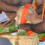 Pejavara Vishwesha Teertha Swamiji main