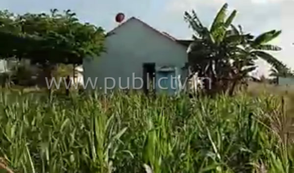mnd farmer 1