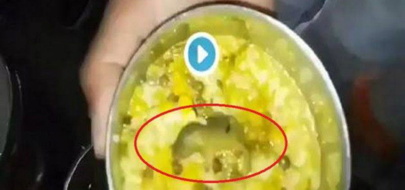 mouse 1