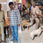 Bengaluru Police Dog