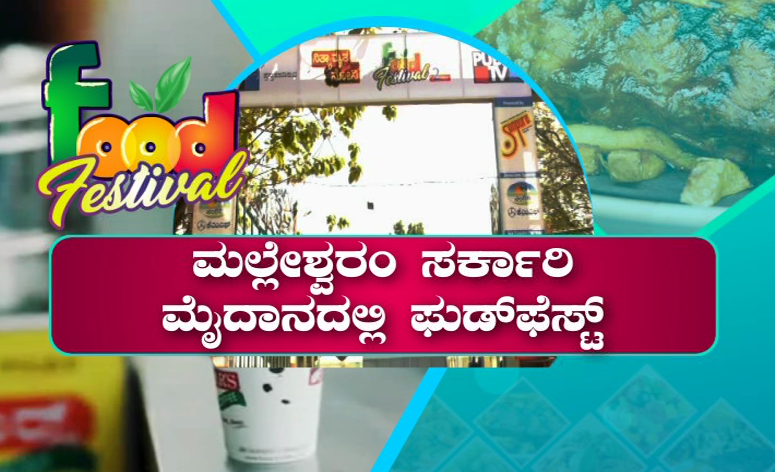 Public TV Food Festival 1