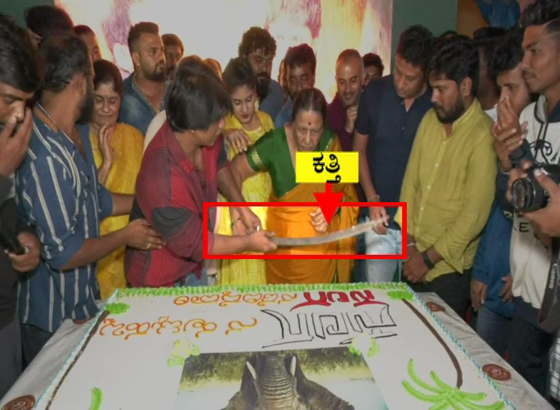 VIJI 1