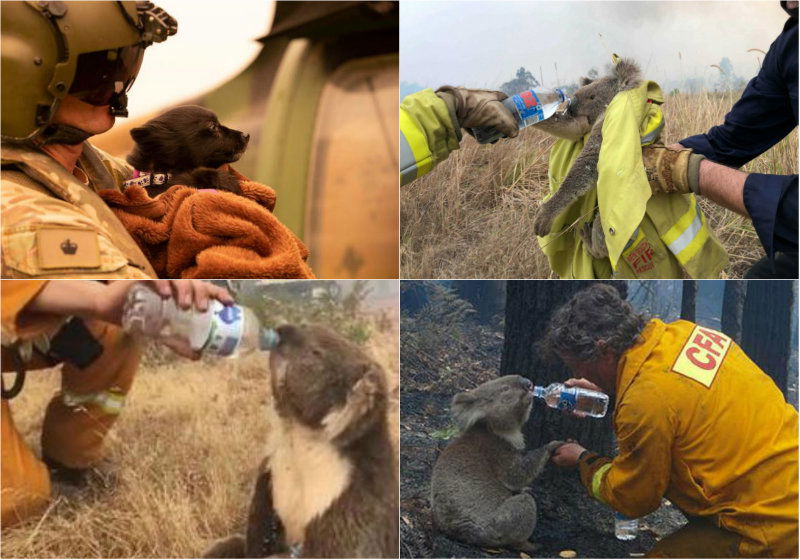 australia wildfire