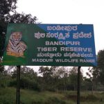 bandipur forest