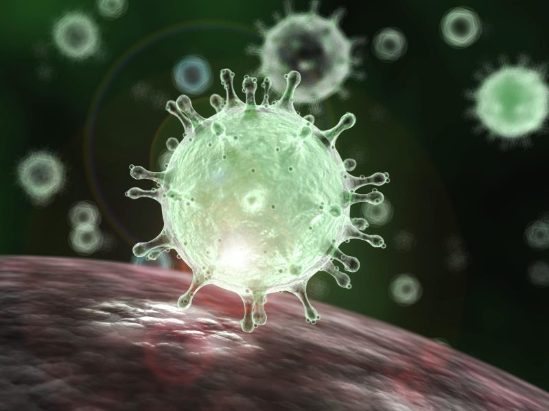 conona virus 1