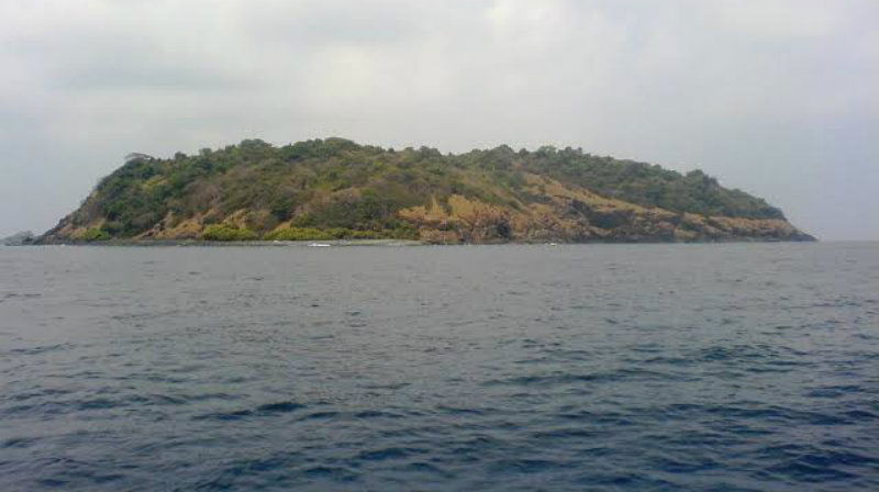 netrani