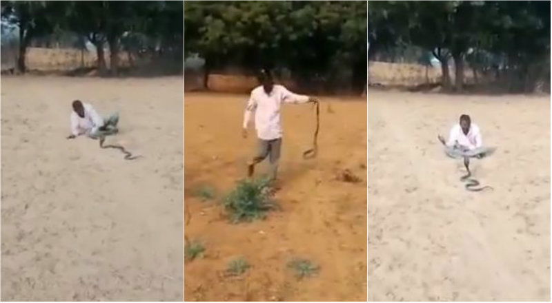 snake man 1