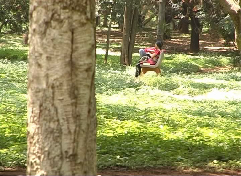 CUBBONPARK C
