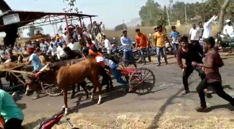 ChiKkodi Horse