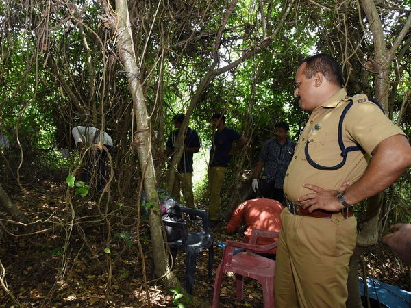 Kerala forest