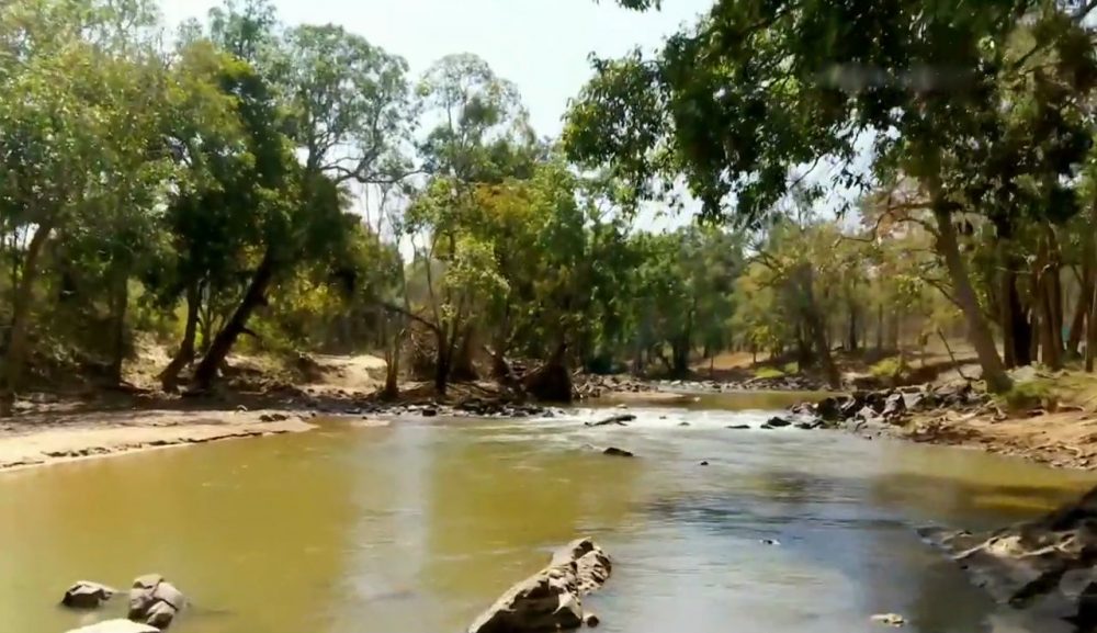 MAN VS WILD RAJINIKANTH BANDIPURA