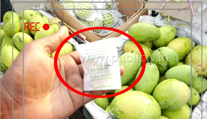 MANGO 1 copy