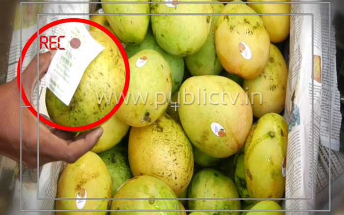 MANGO 5