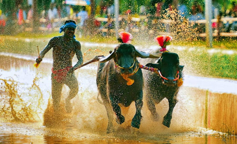 MNG KAMBALA RECORD 3