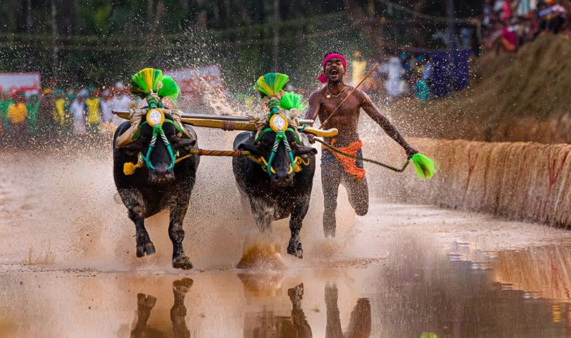MNG KAMBALA RECORD 4 1
