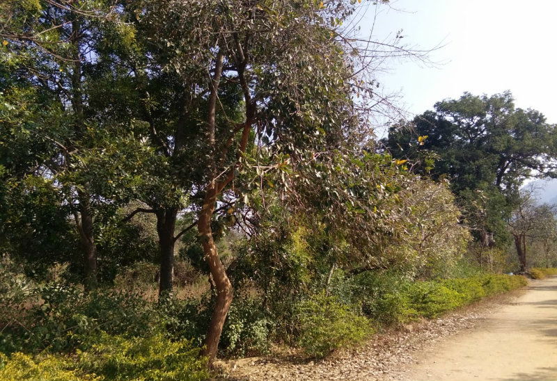 Namada Chilume Devarayanadurga 2