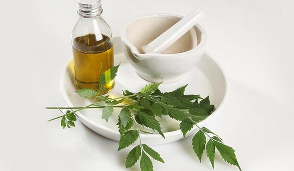Neem Oil 600x350 1
