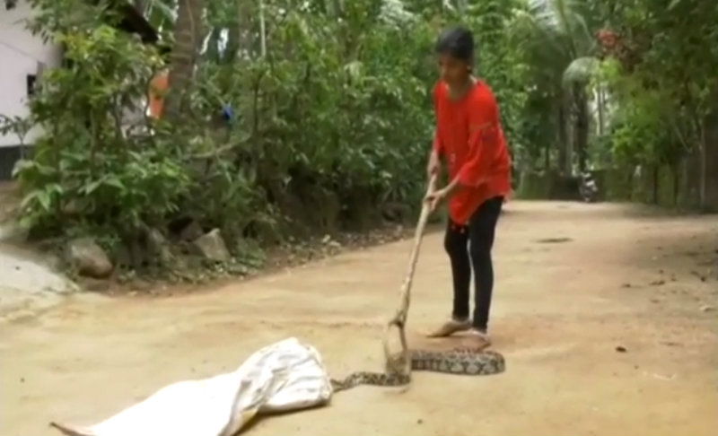Snake Girl Karwar3