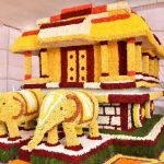 ckb hampi 1