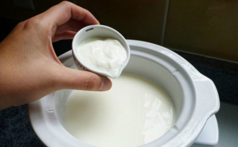 curd 1 1