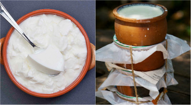 curd 1