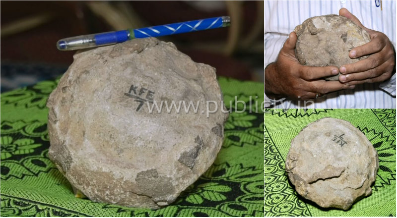 dinosaur egg 4