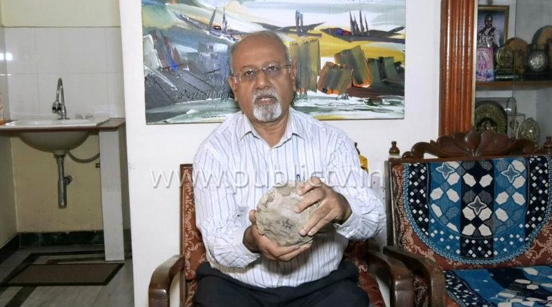 dinosaur egg 5