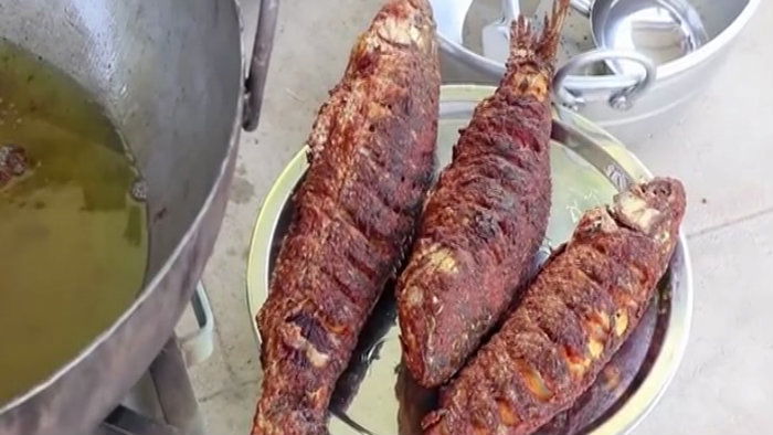 fish 2