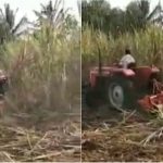 hsn farmer