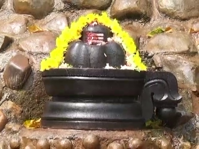 mdk shivratri 5