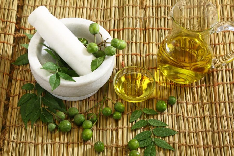 neem plant and essential oil