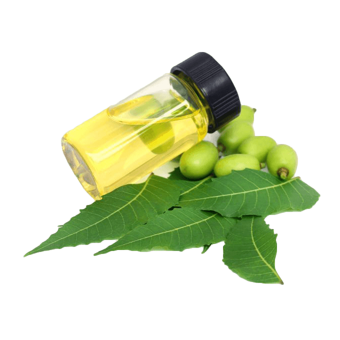 neem yagi
