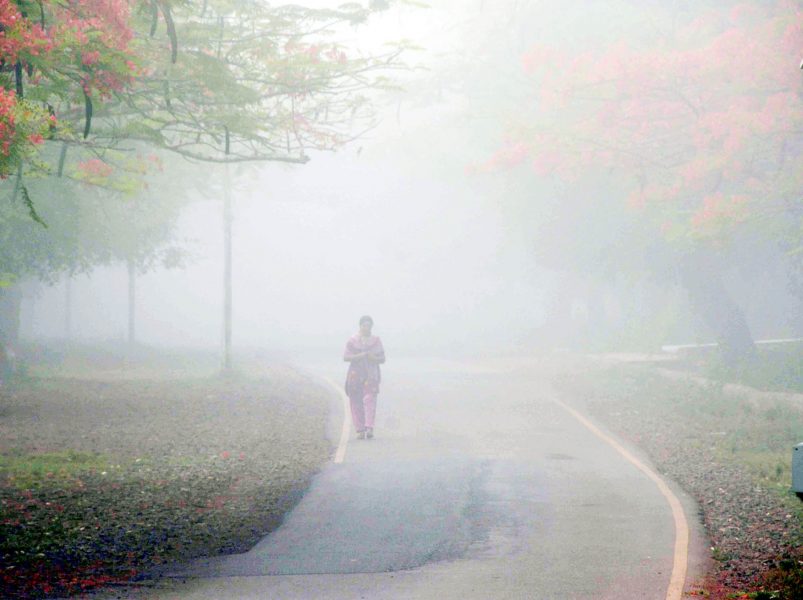 weather 8