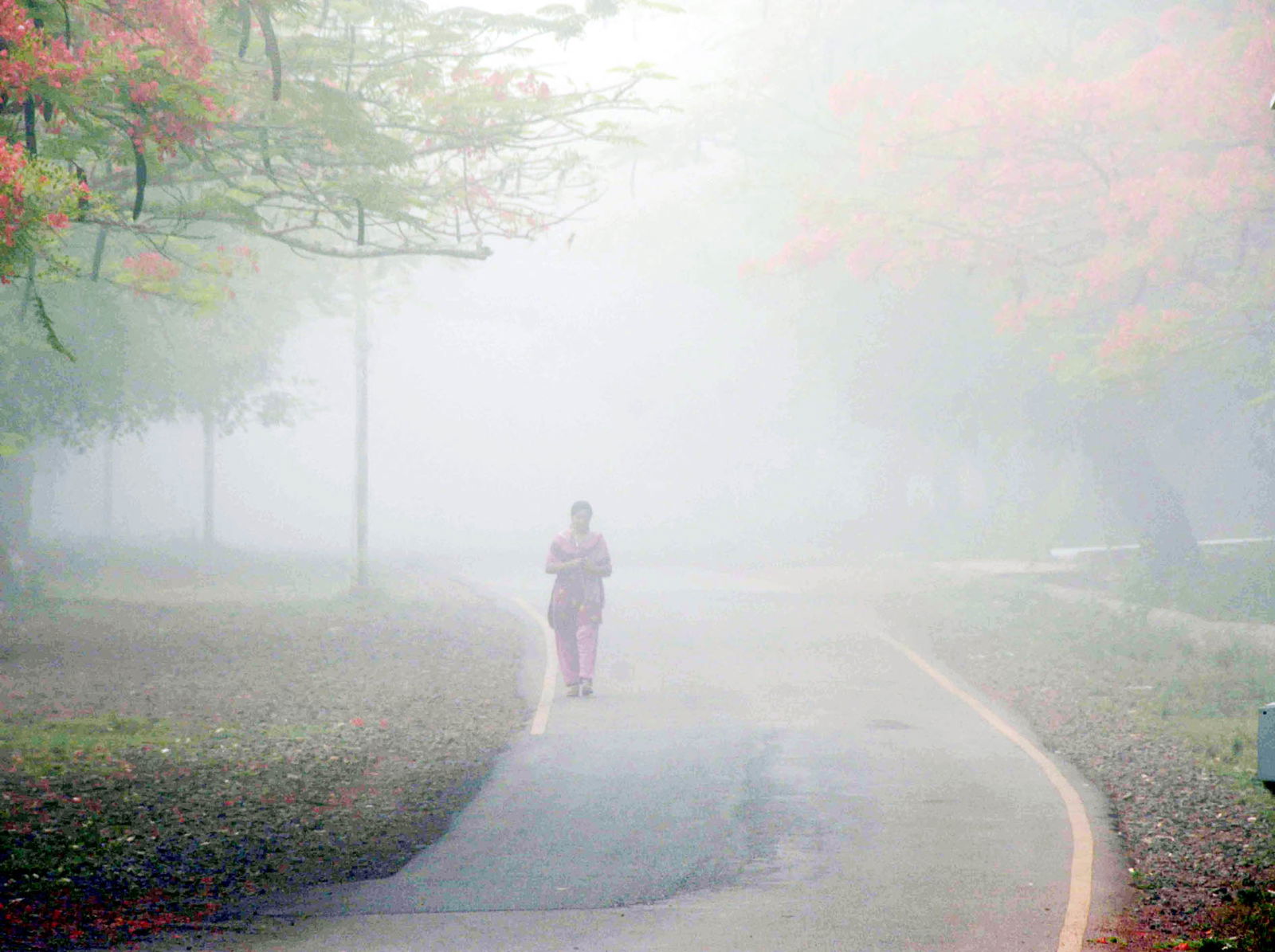 weather 8