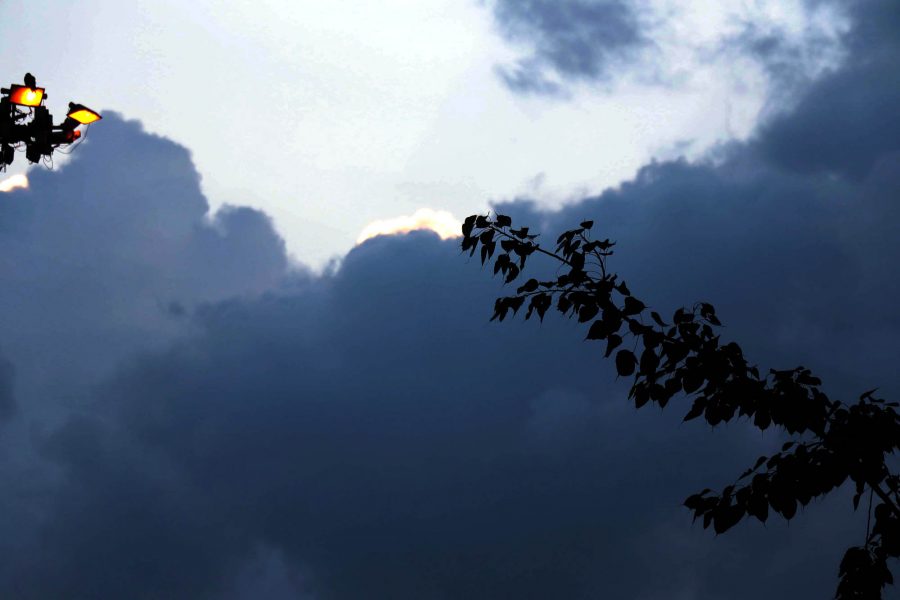 weather report 7