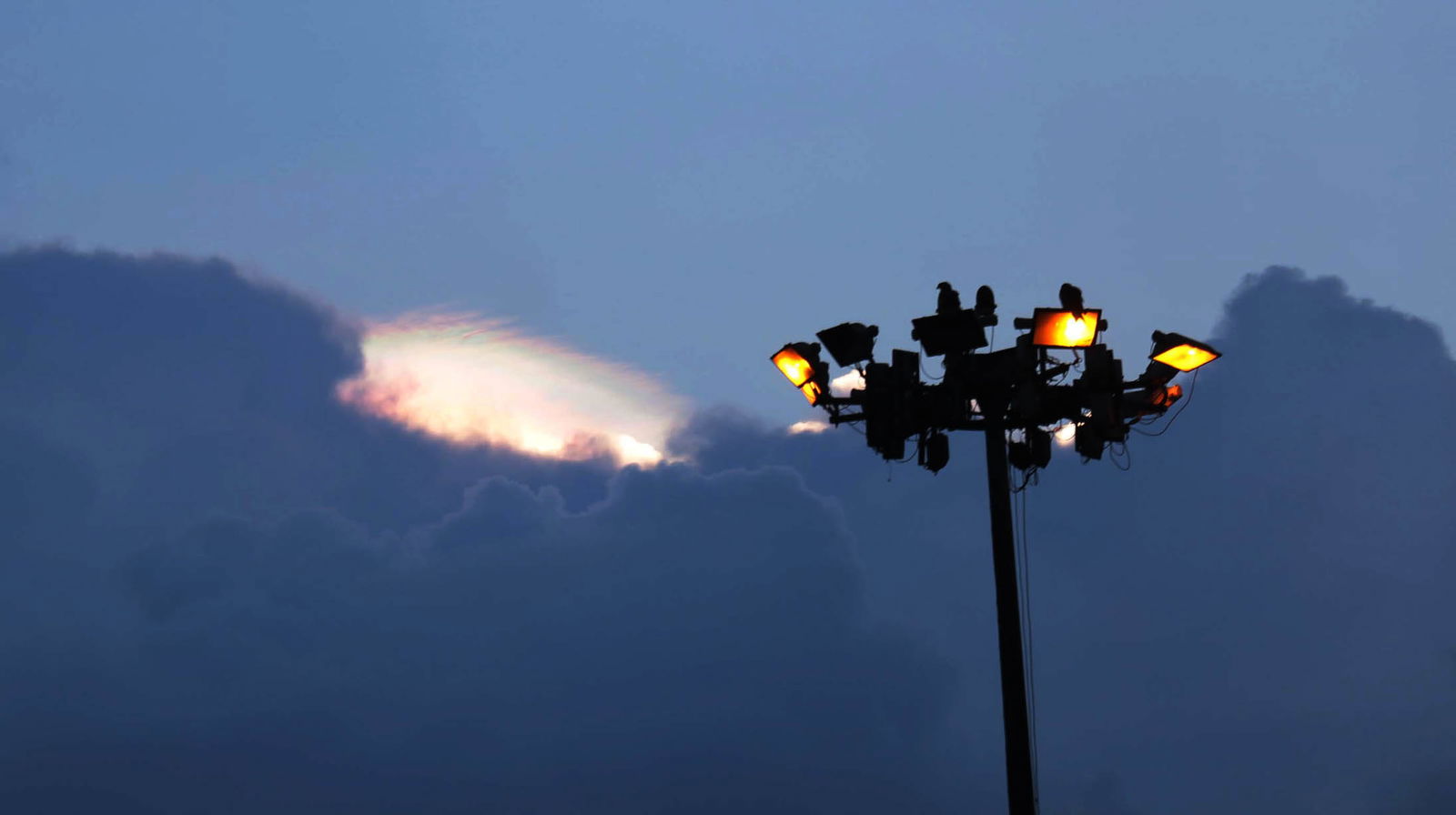 weather report 8