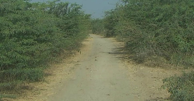 ygr village 1