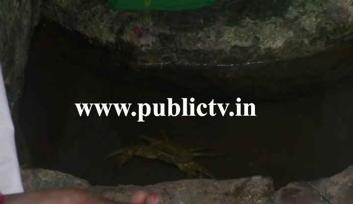 BLG Crab 1