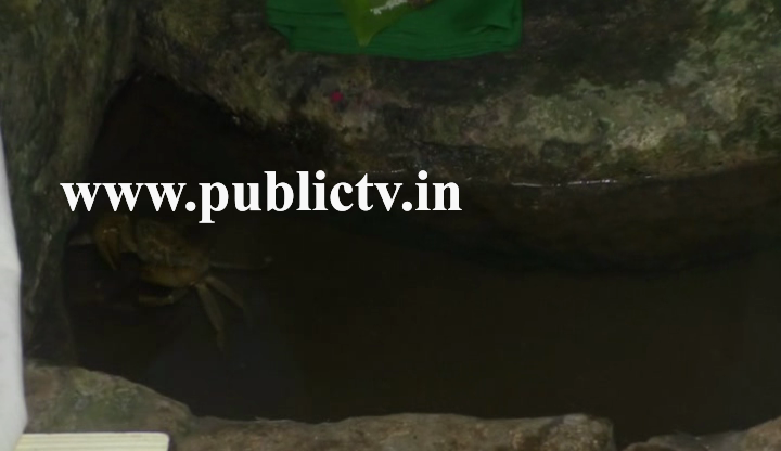 BLG Crab 2