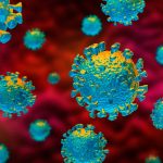 Corona Virus