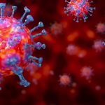 Corona Virus 9