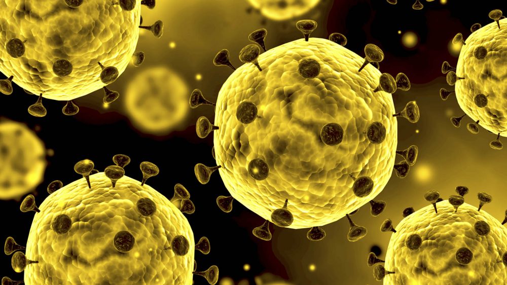 Coronavirus25