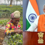 KEVIN PETERSON modi