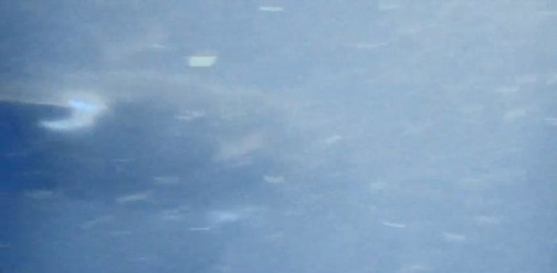 KWR FISH2